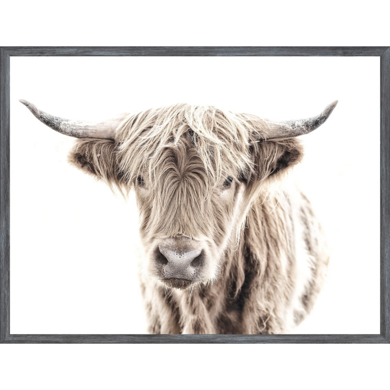 Celadon Art Mod. Farm - Highland Cow - Mini - Grey