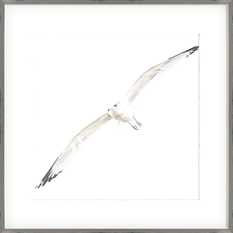 Celadon Art Soar II