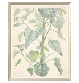 Celadon Art Collection 08 – Stalk & Leaves of a Sunflower, 1901