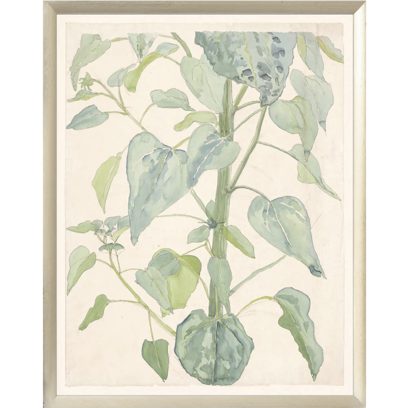 Celadon Art Collection 08 – Stalk & Leaves of a Sunflower, 1901