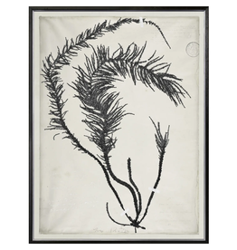 Celadon Art De Mari Series VI