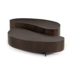 Avette Coffee Table 2 piece Bleached