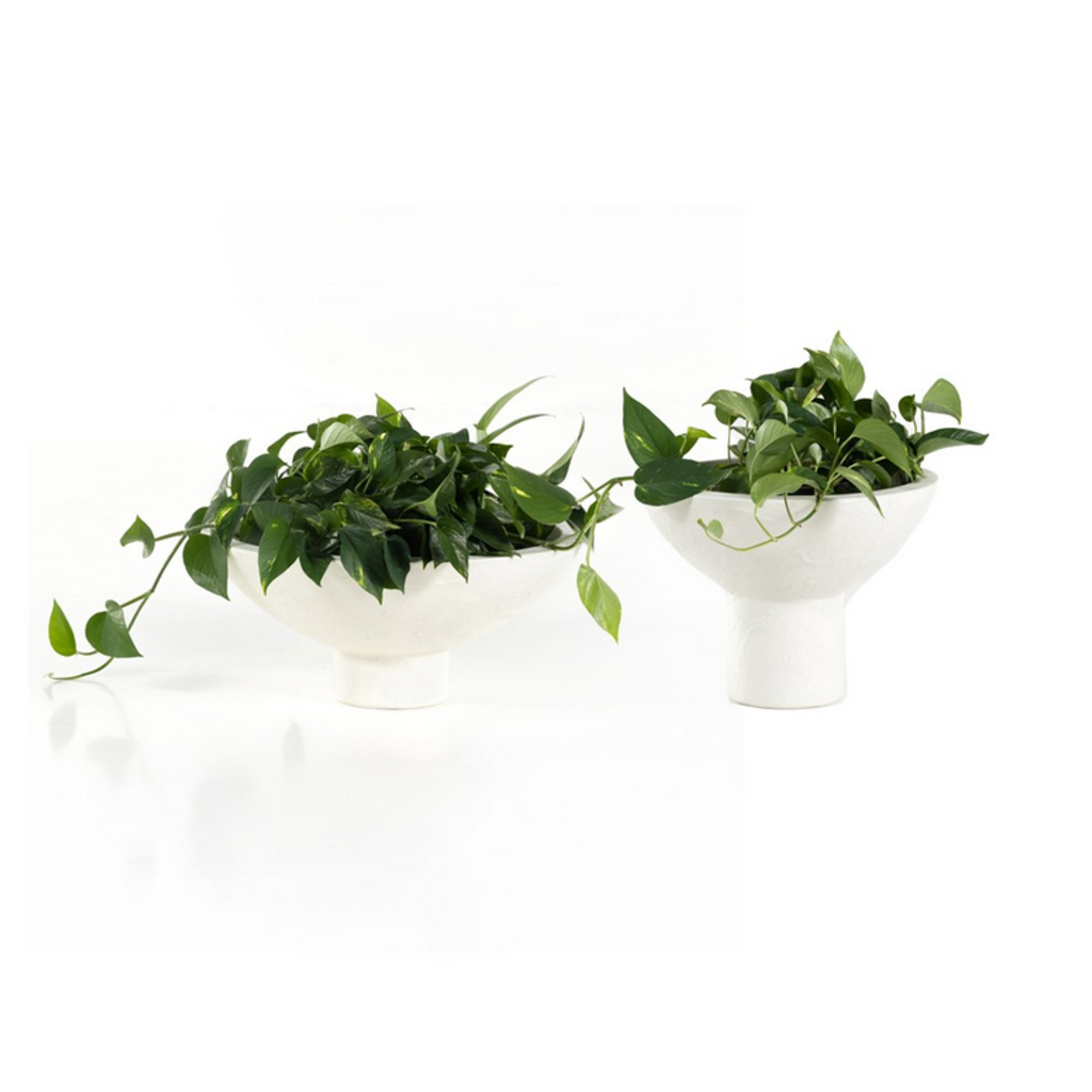 Pressler Outdoor Planter, Set of 2