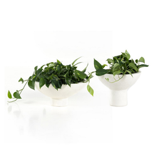 Pressler Outdoor Planter, Set of 2