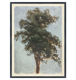 Celadon Art Collection Vintage - Tree Study, 1855 - 17"× 23"