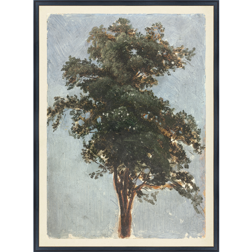 Collection Vintage - Tree Study, 1855 - 17
