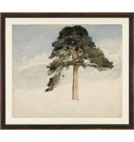 Celadon Art Collection Vintage - Scottish Fir Tree, 1849 - 15.25" × 13.25"
