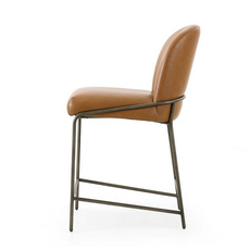 Astrud Bar + Counter Stool Sierra Butterscotch