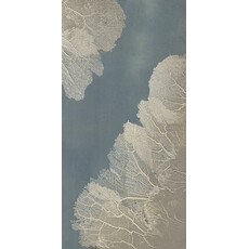 LBA Sea Coral II  Linen 30x60