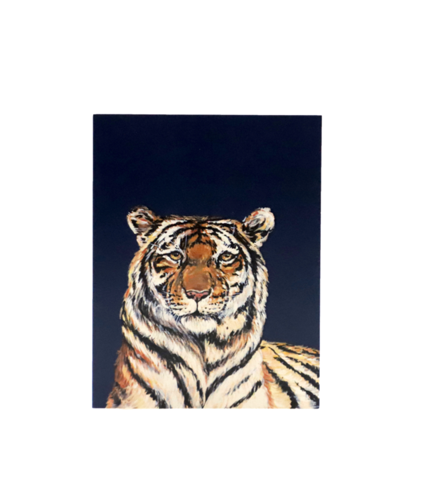 Blue Tiger Enclosure Card - Southern Avenue Company