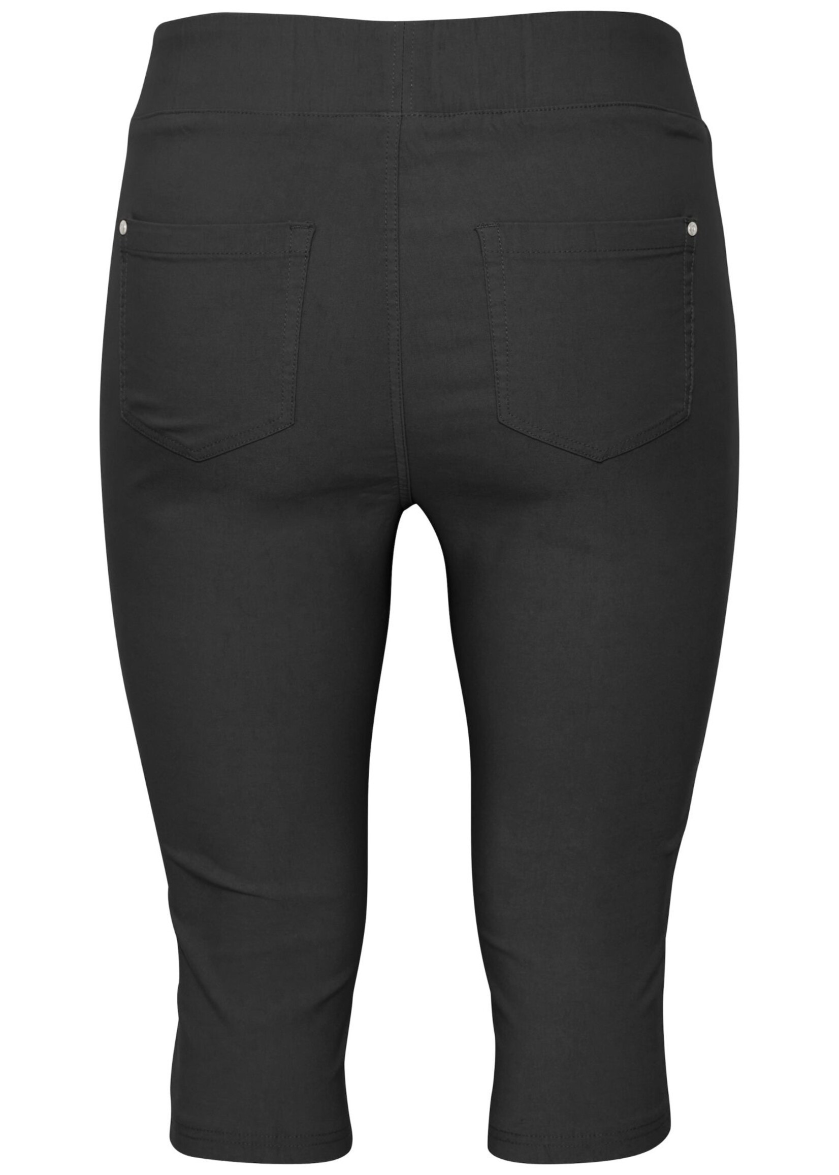 FRANSA-CAPRI-20613198