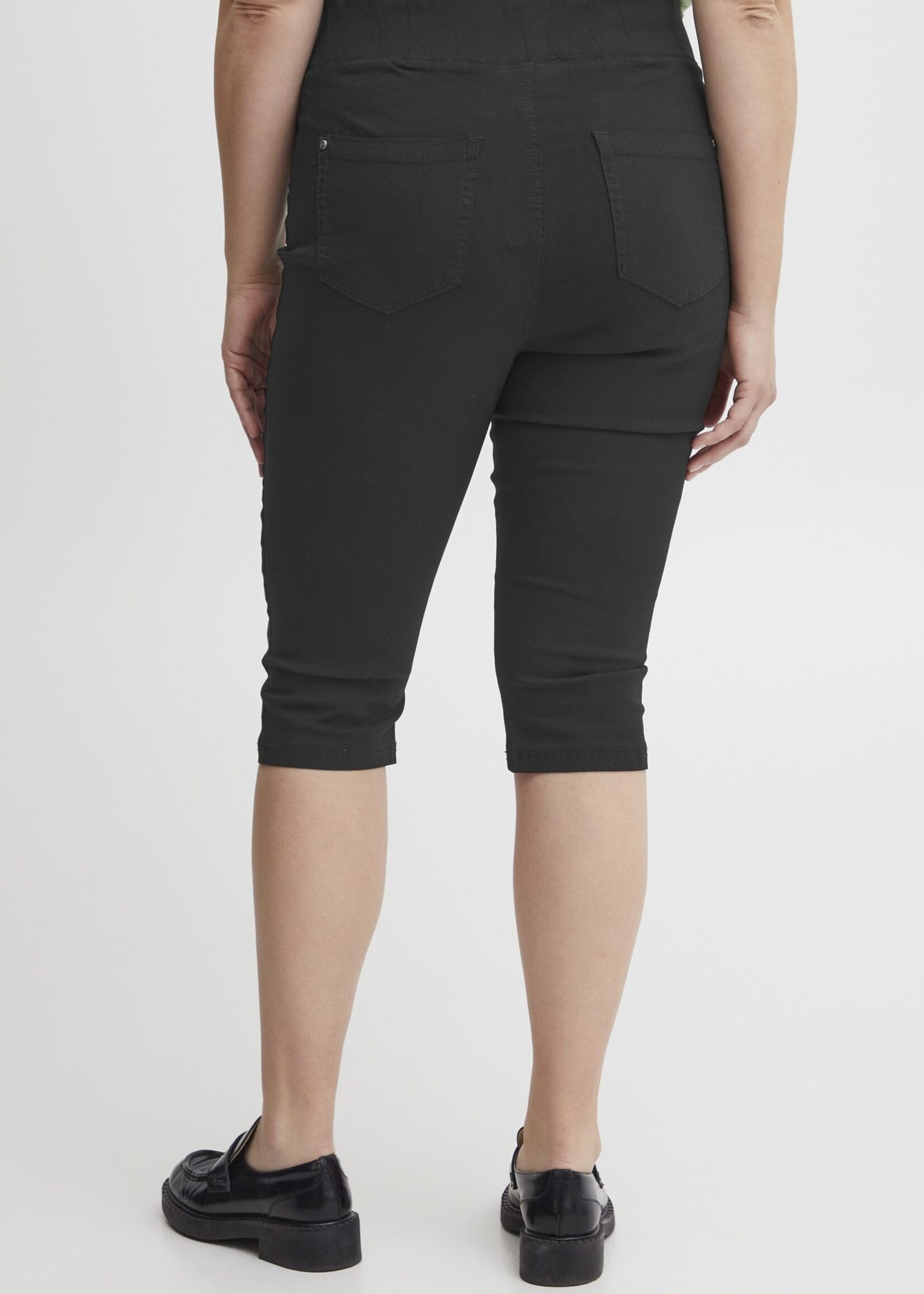 FRANSA-CAPRI-20613198