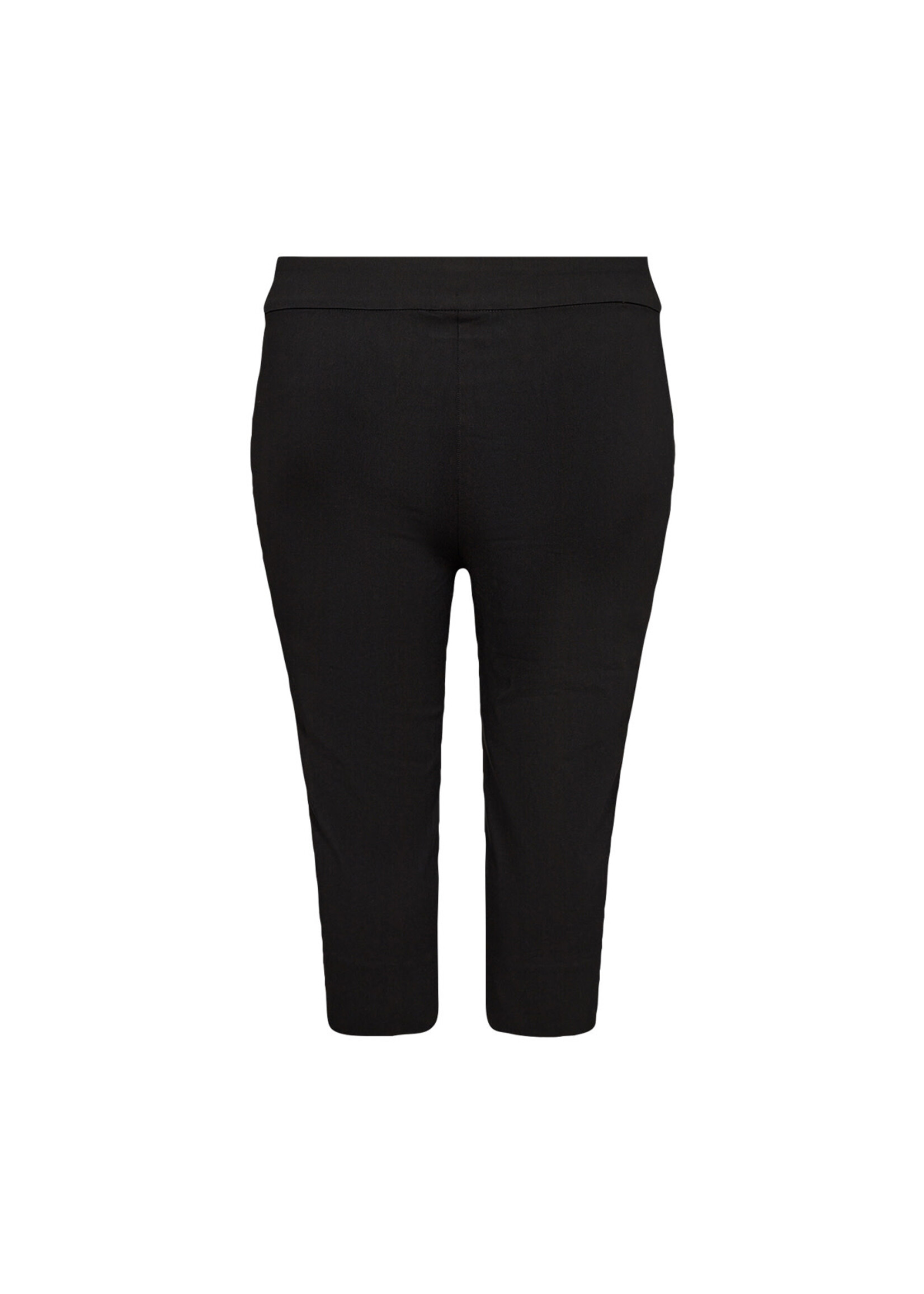 WASABI CONCEPT WASABI-3/4 PANTS-10162