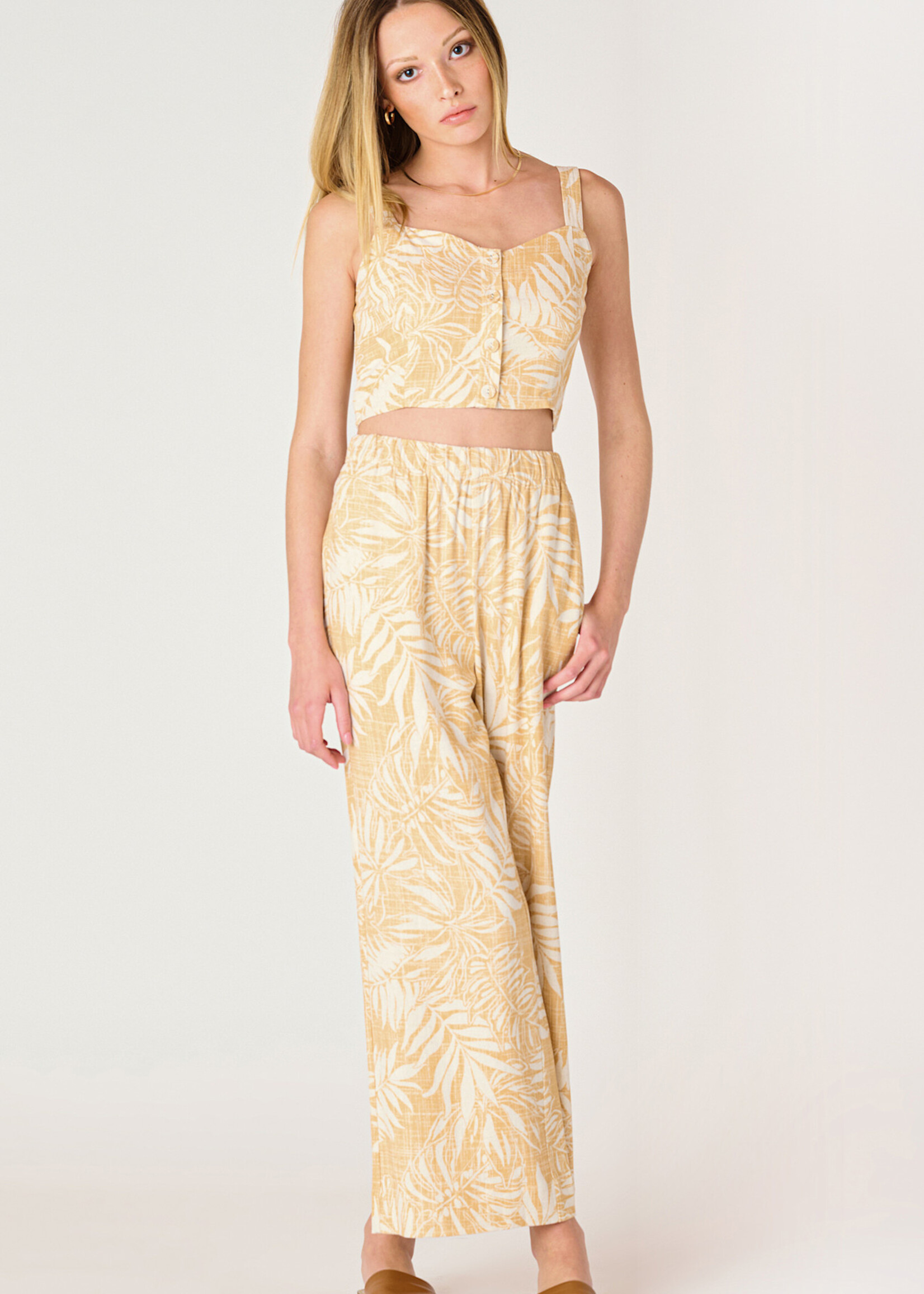 DEX DEX-CAMI-2523515