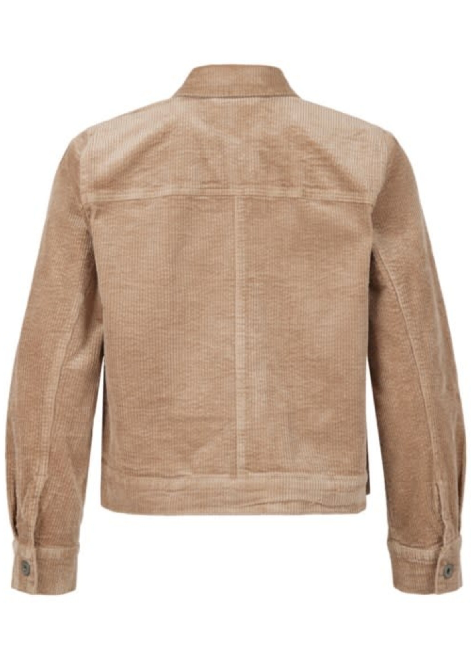 BRANDTEX-JACKET VELOURS-219124