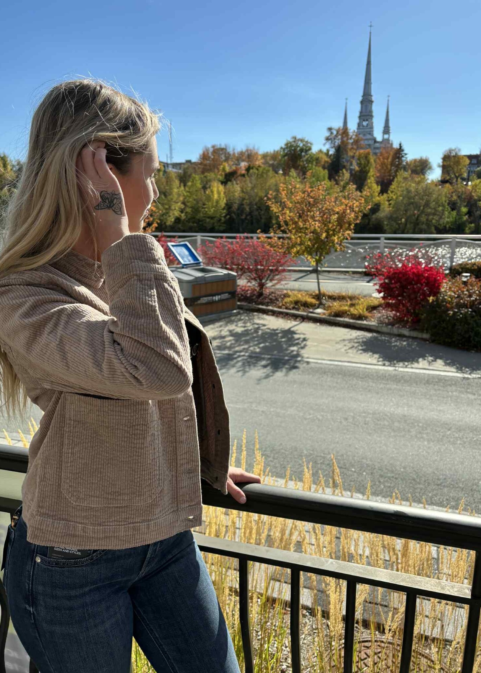 BRANDTEX-JACKET VELOURS-219124