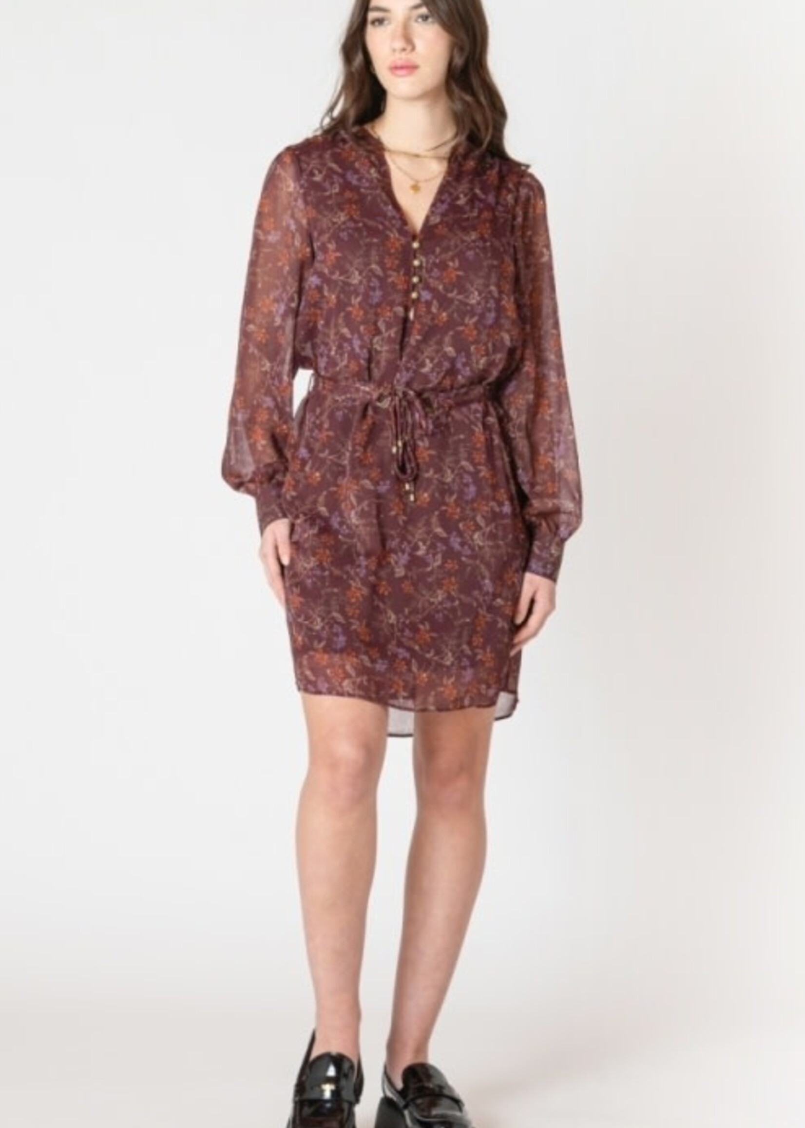 DEX DEX-ROBE-2622504D