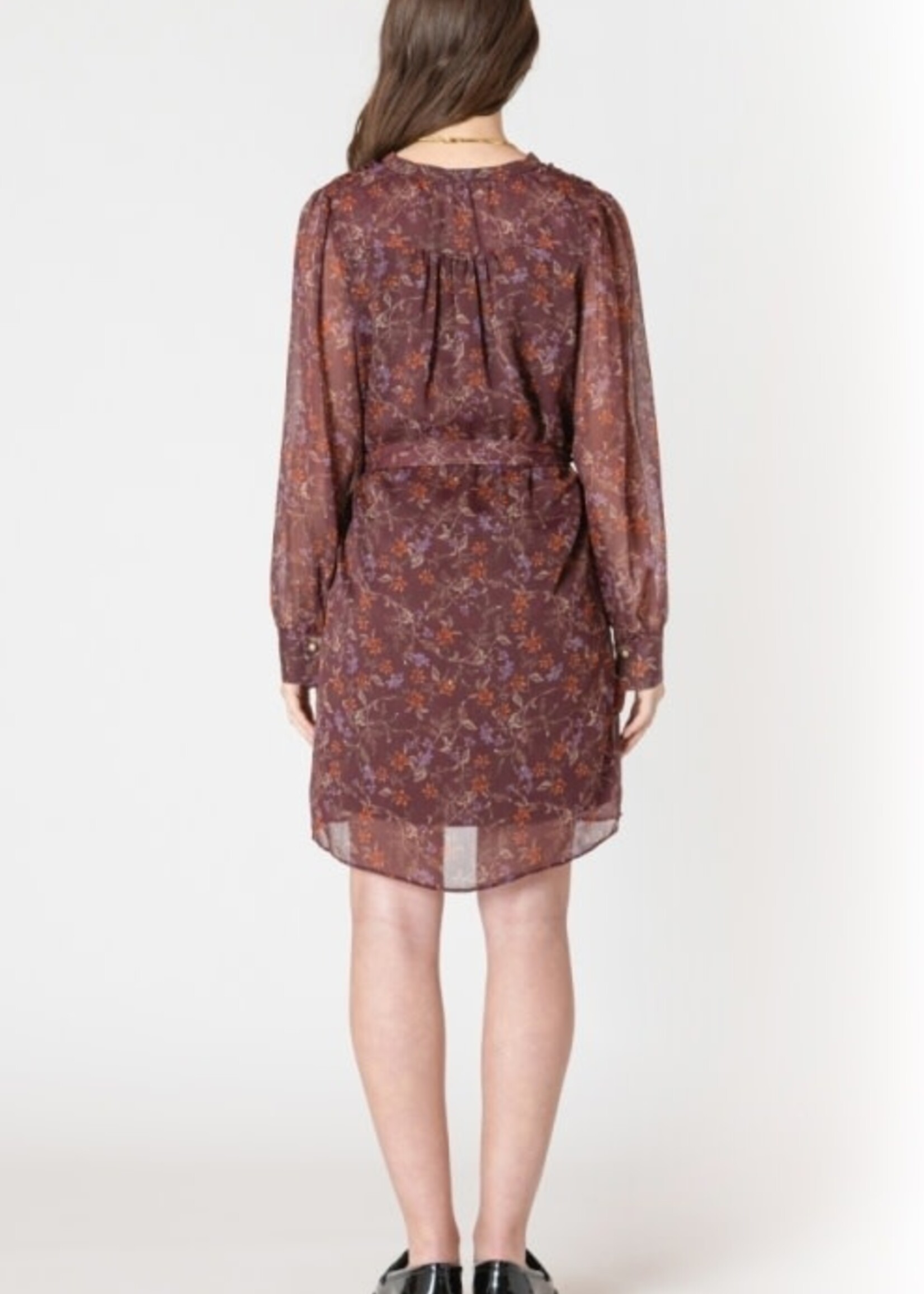 DEX DEX-ROBE-2622504D