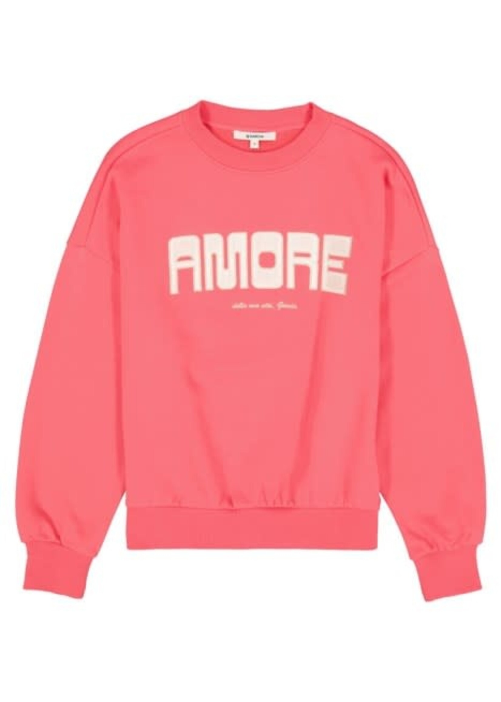 GARCIA GARCIA-CHANDAIL-N260261