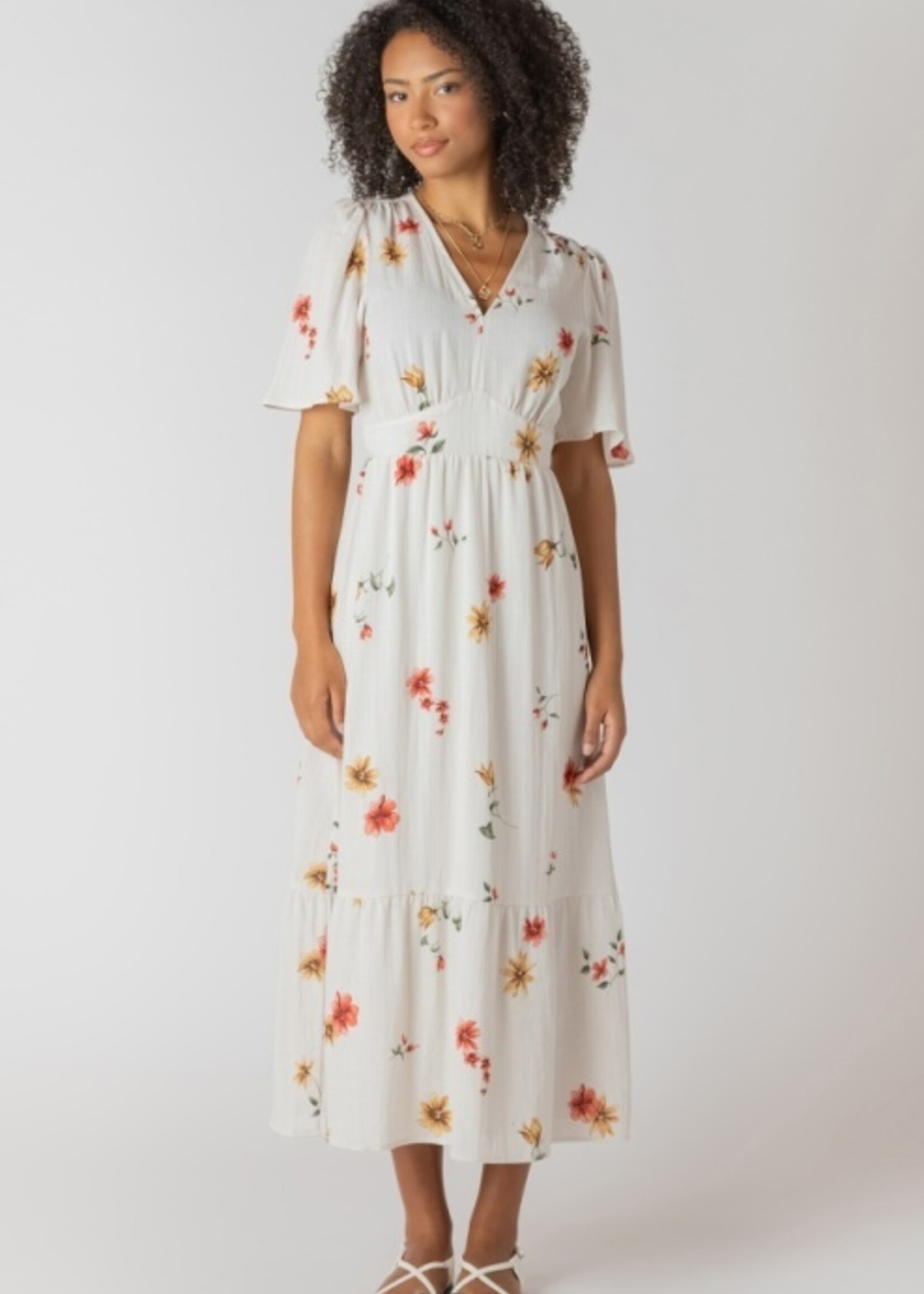 DEX DEX-ROBE-2722528DG