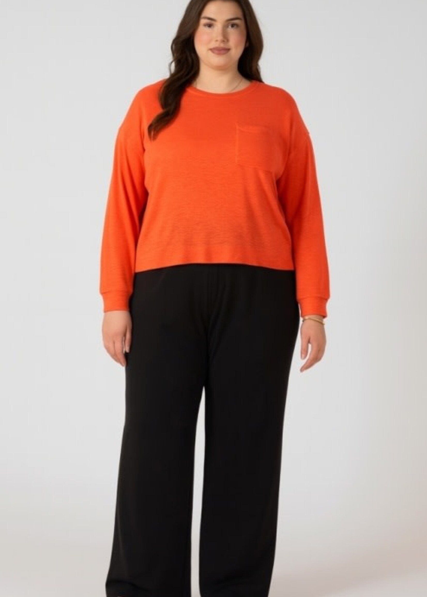 DEX PLUS DEX PLUS-CHANDAIL-2774023DP