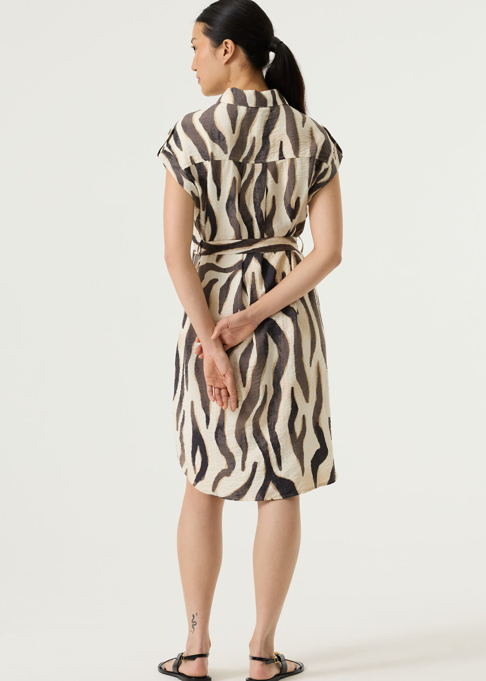 GARCIA GARCIA-ROBE-Q260088