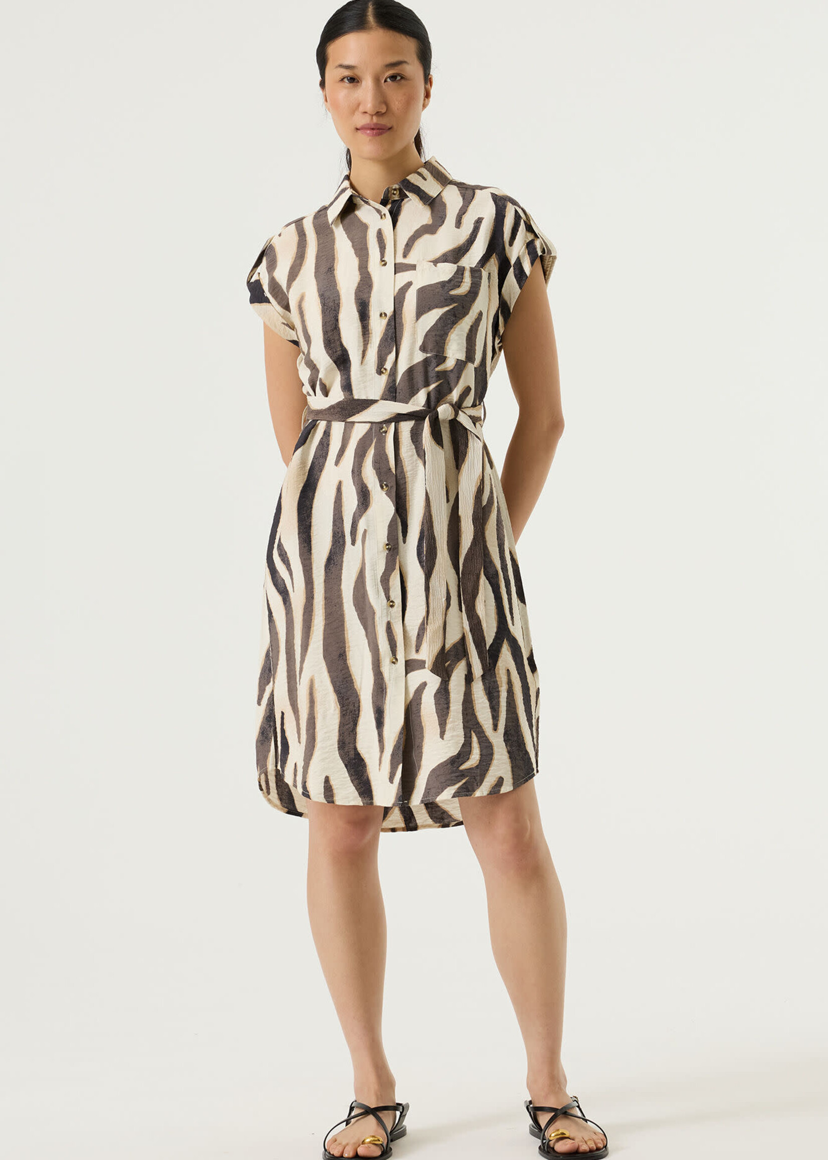 GARCIA GARCIA-ROBE-Q260088