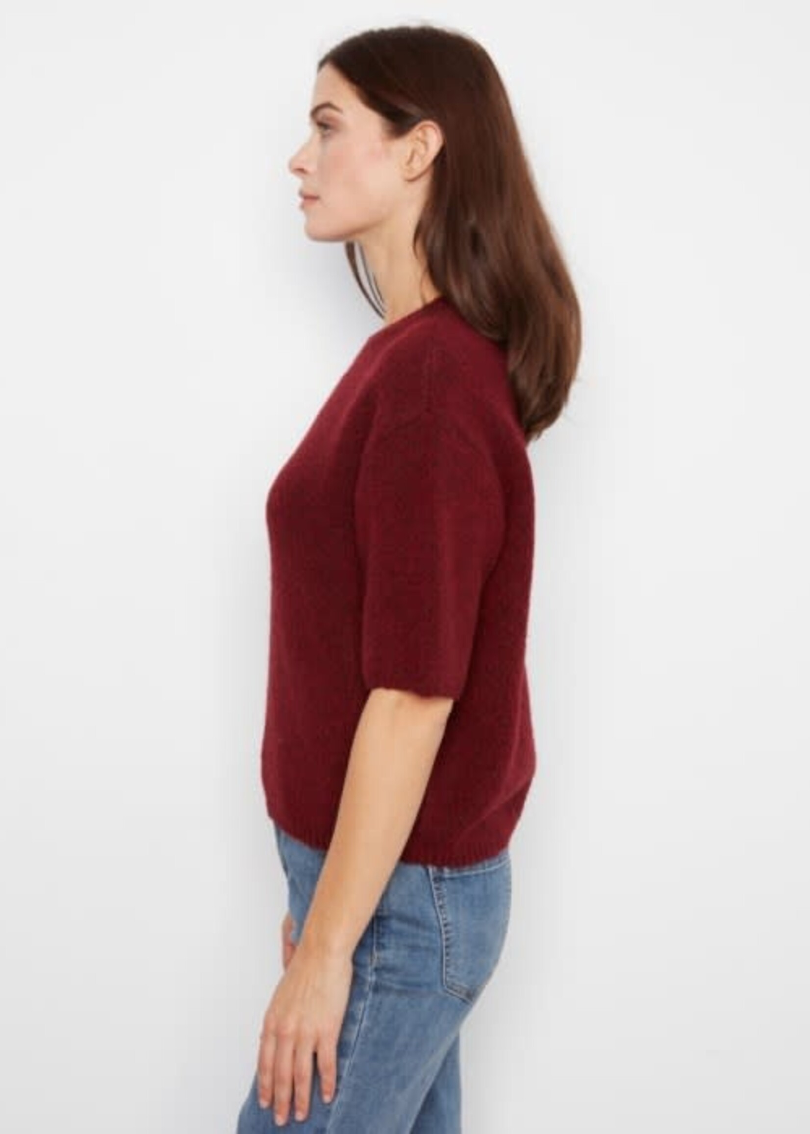 CHARLIE B CHARLIE B-PULL À MANCHES COURTES-C2858R