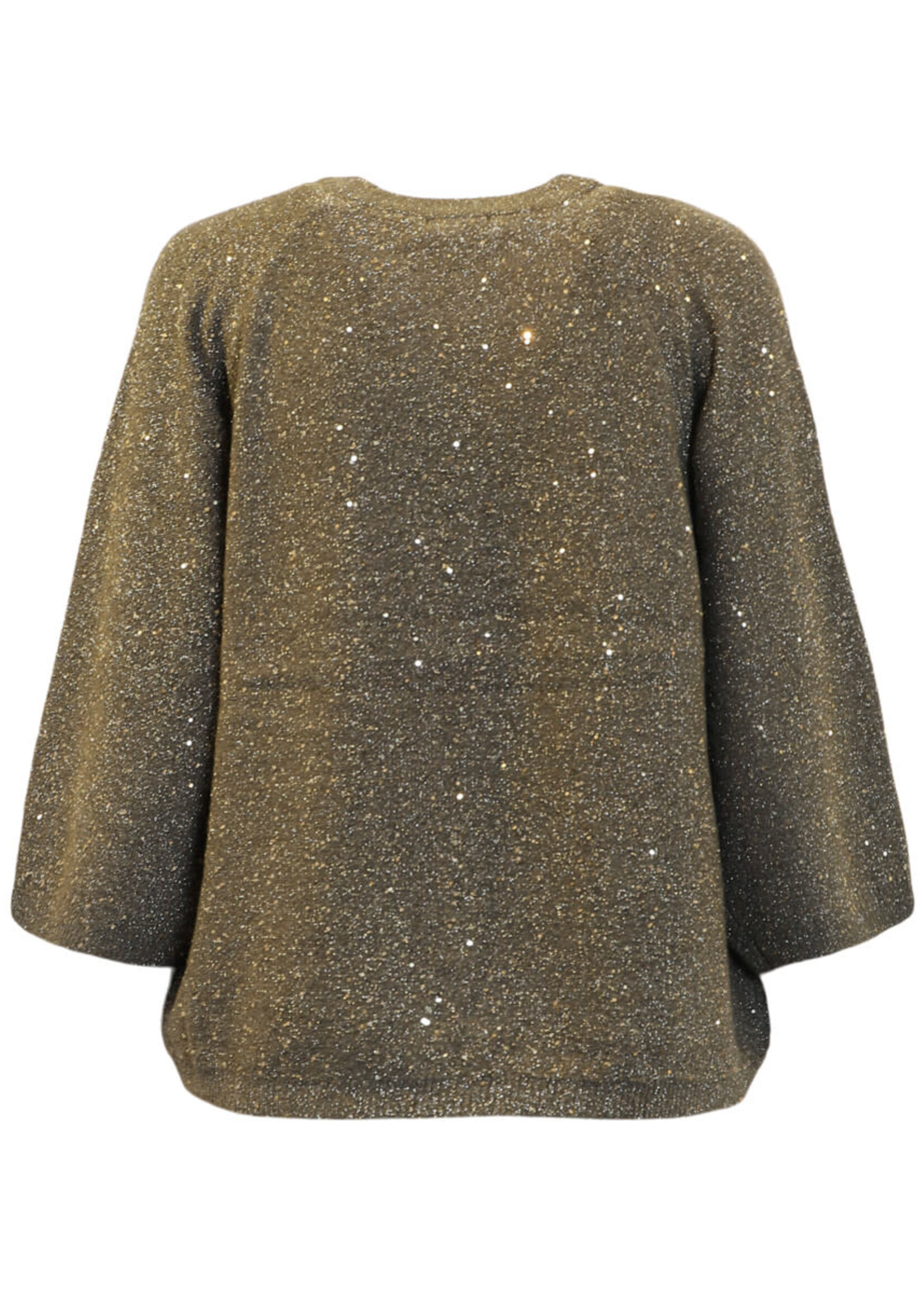 BRANDTEX BRANDTEX-CHANDAIL AVEC BRILLANTS-4004910030