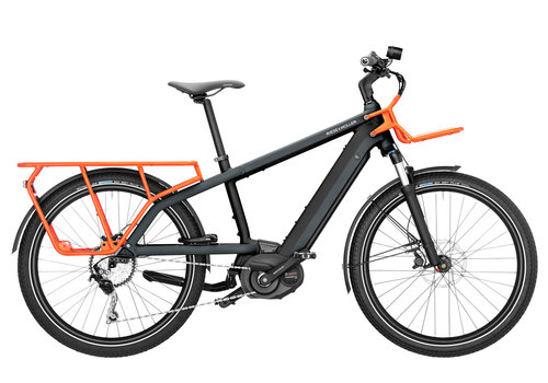 riese and muller multi charger