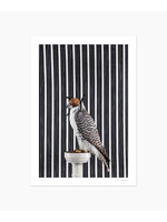 Claire Rosen Gyrfalcon No. 4481