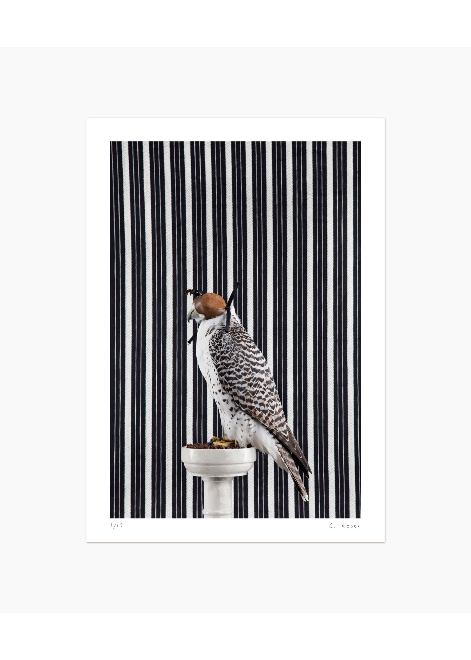 Claire Rosen Gyrfalcon No. 4481