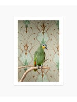 Claire Rosen Amazon Parrot No. 7613