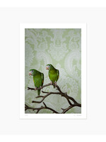 Claire Rosen Canary Wing Bee Bee No. 7746