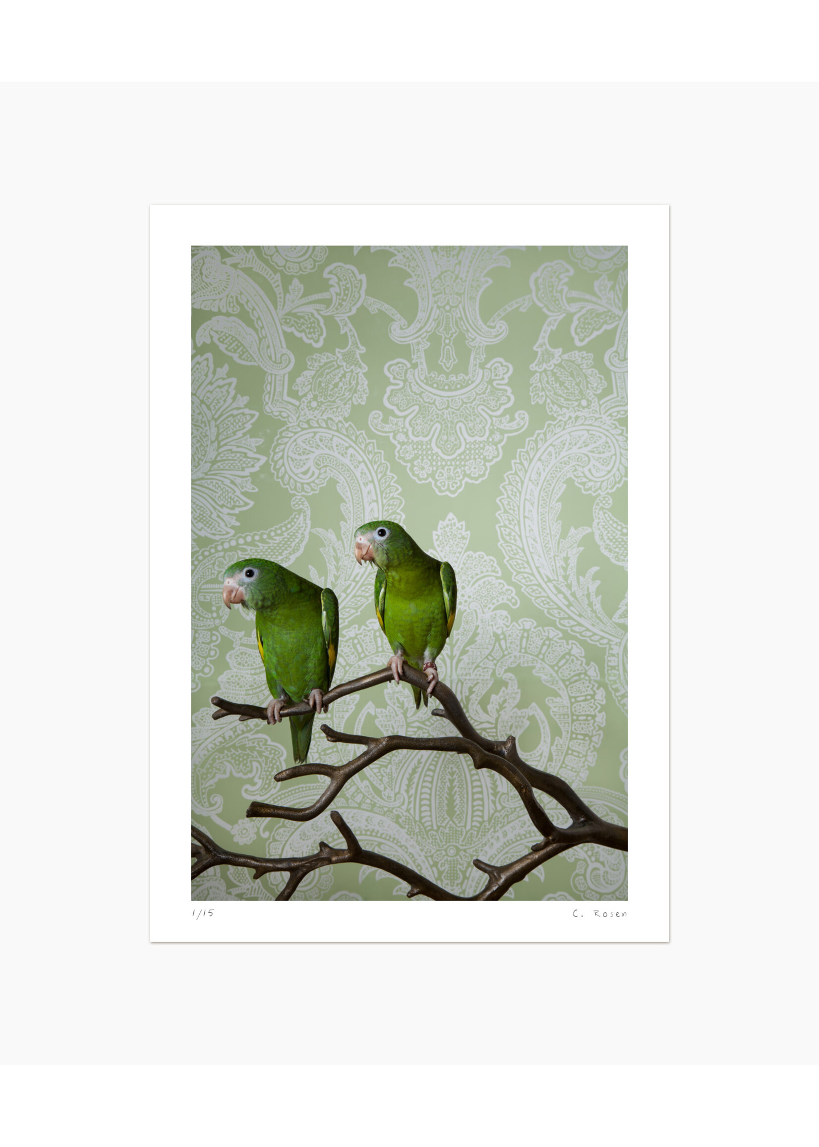 Claire Rosen Canary Wing Bee Bee No. 7746