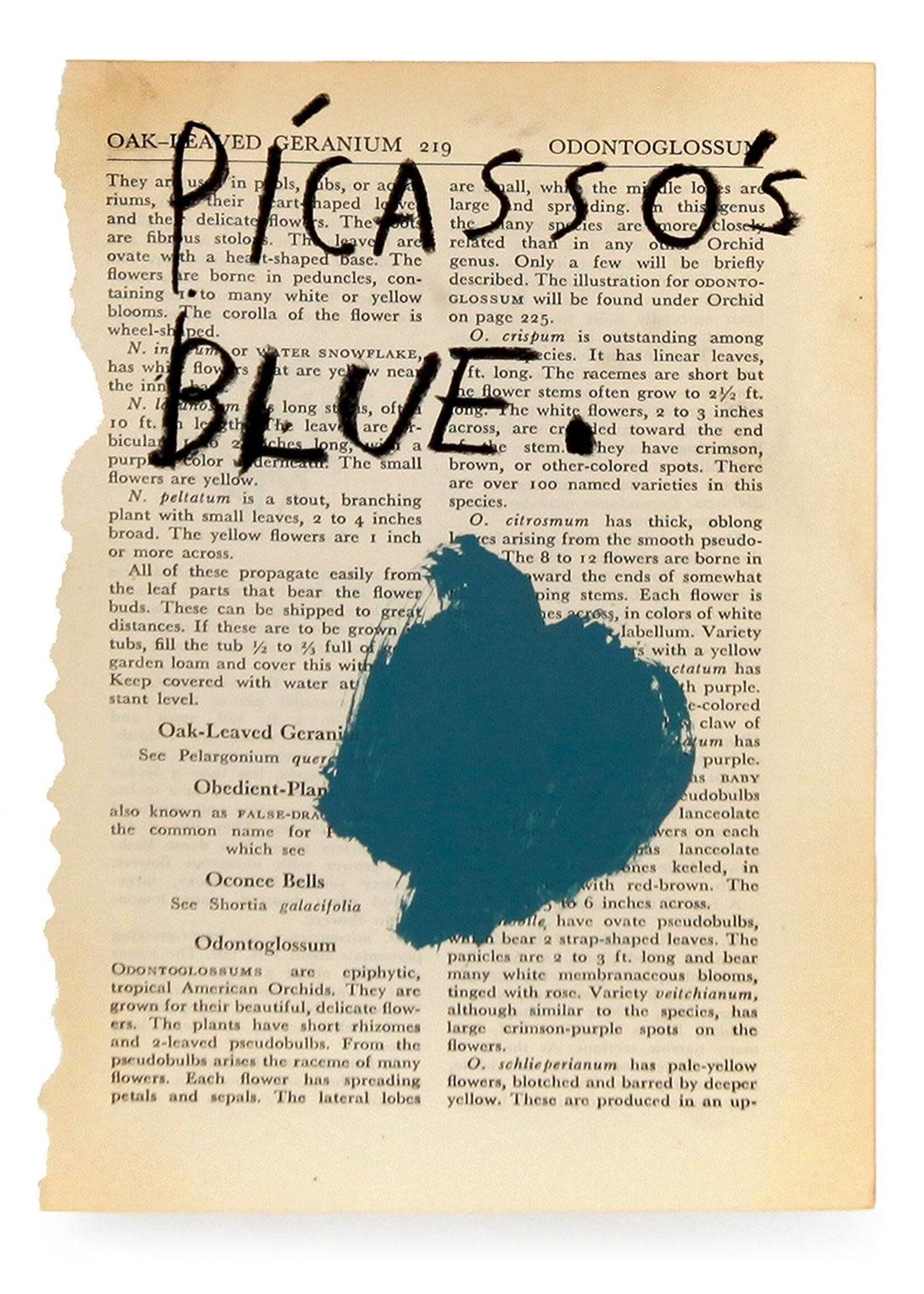 Abel Macias 4039 Abel Macias Picasso's Blue and Rose