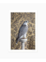 Claire Rosen Gyrfalcon No. 4602