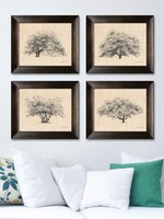 Heather Young Tree Prints - Maple Veneer