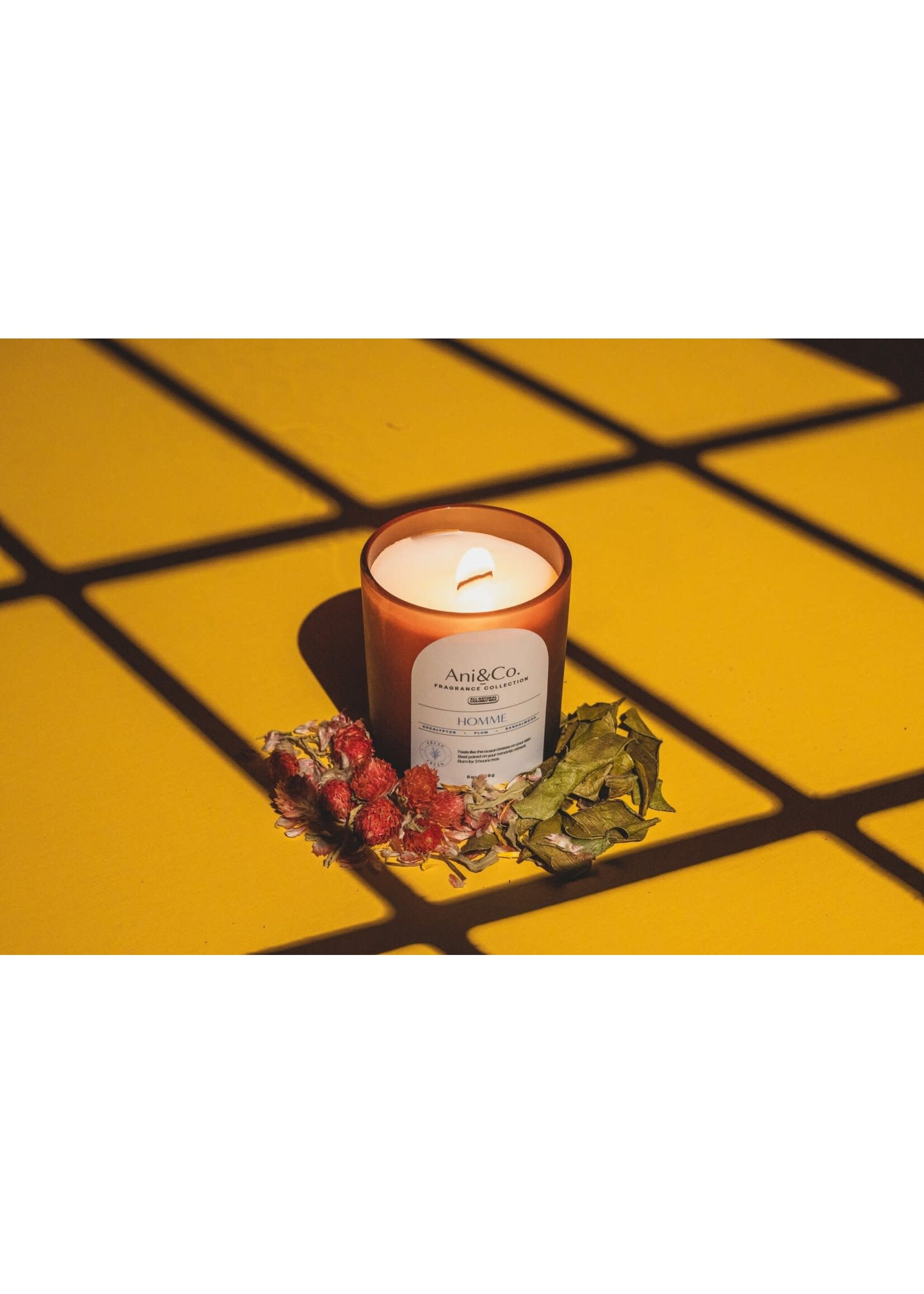 Brittany Bernier ANI + CO Candle
