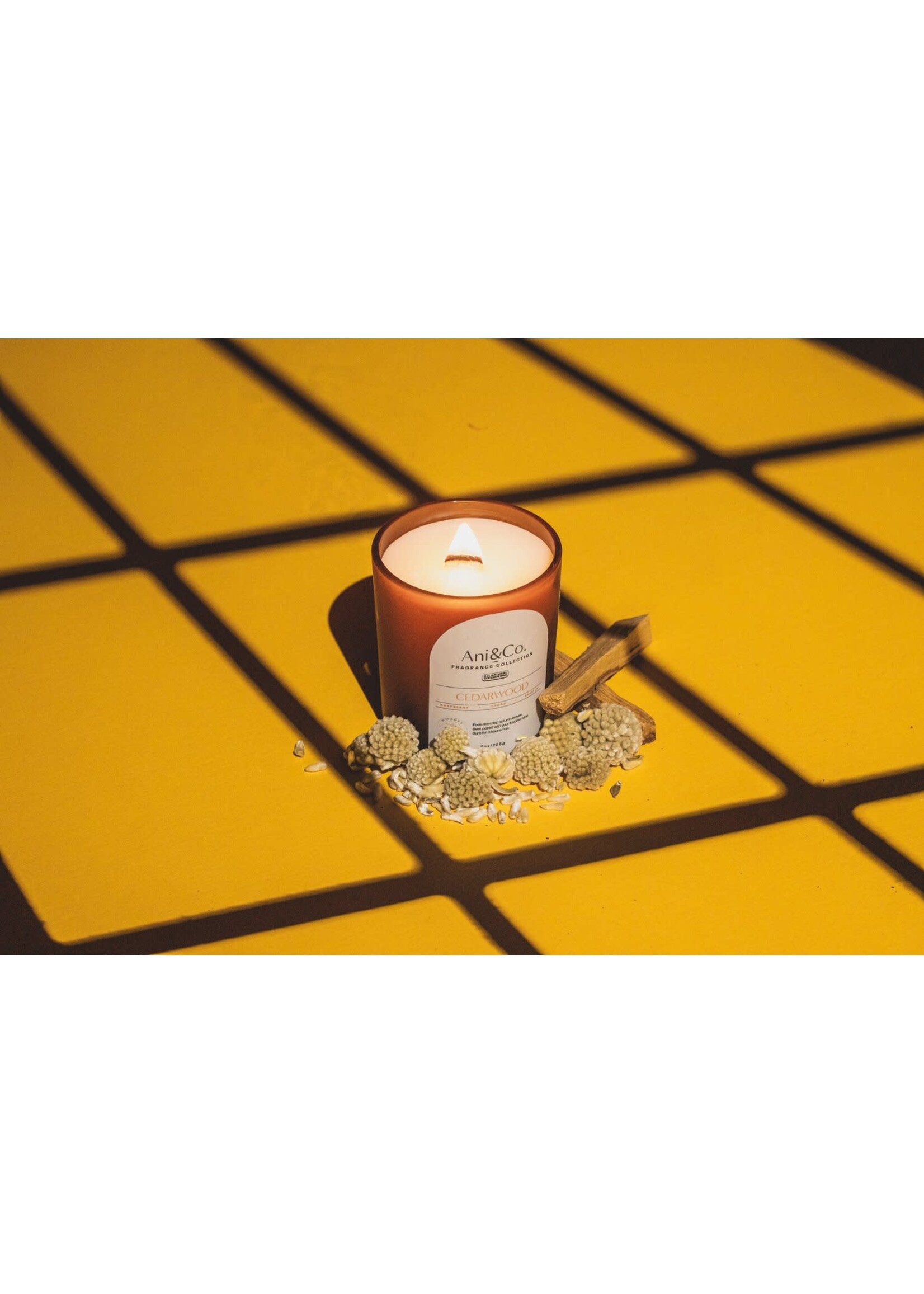 Brittany Bernier ANI + CO Candle