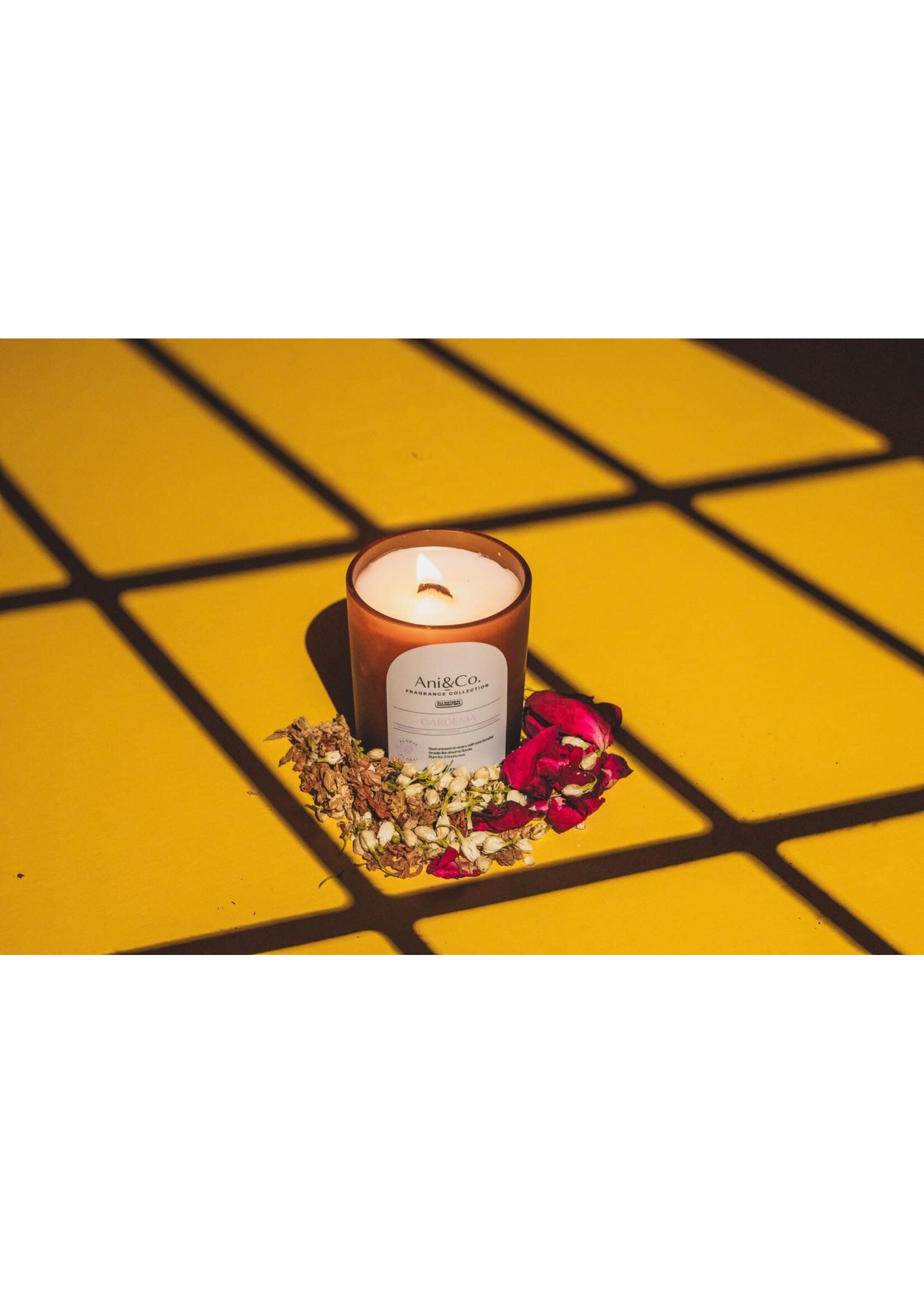 Brittany Bernier ANI + CO Candle