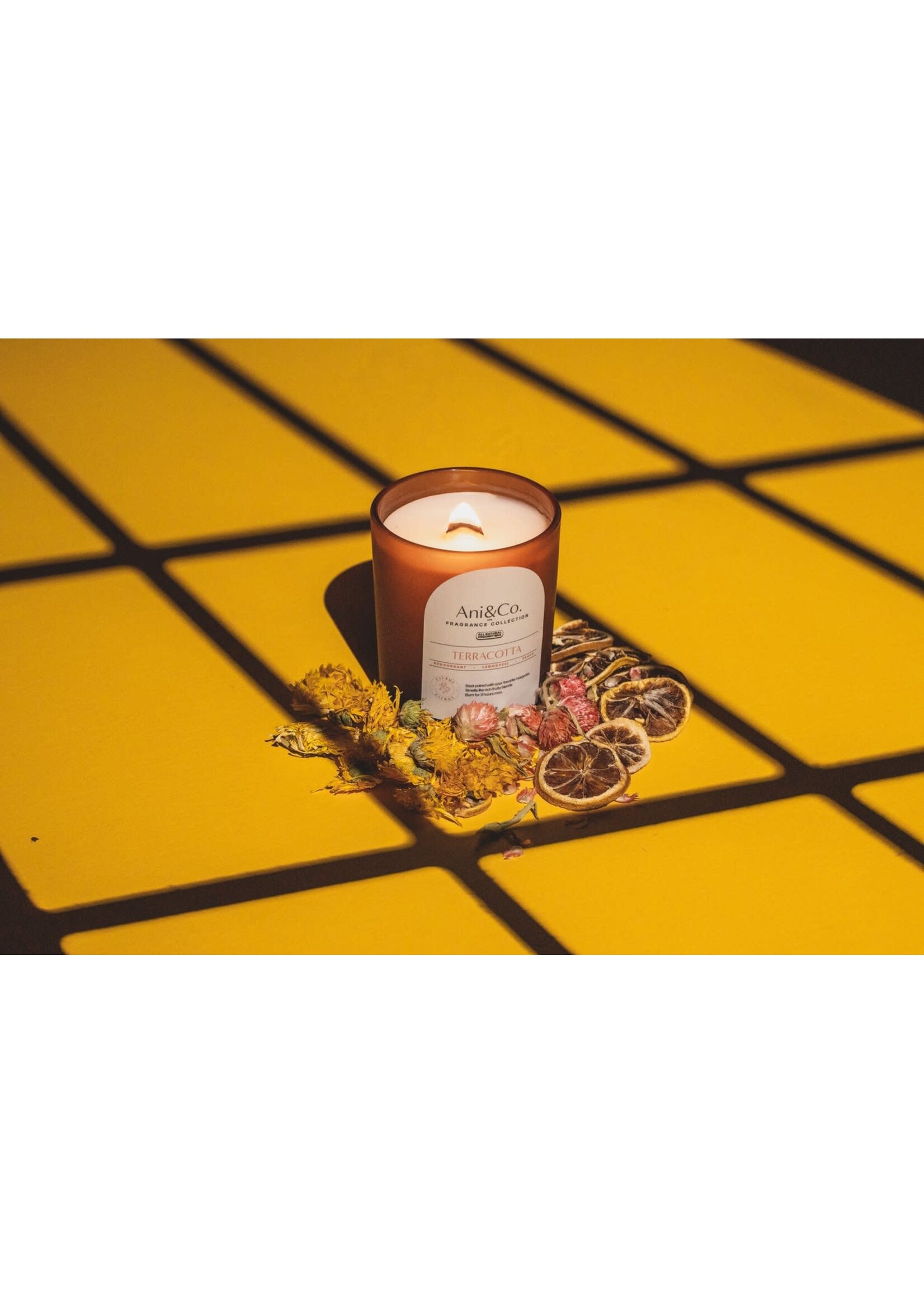 Brittany Bernier ANI + CO Candle