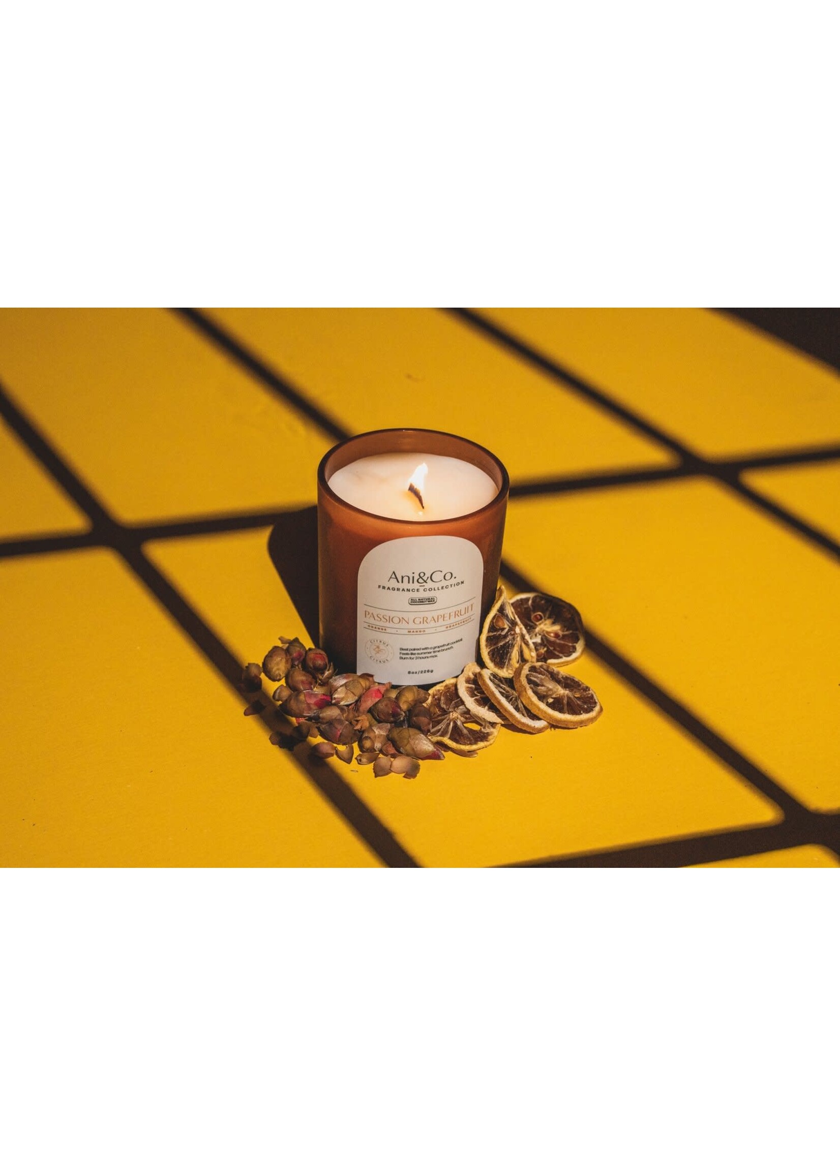 Brittany Bernier ANI + CO Candle
