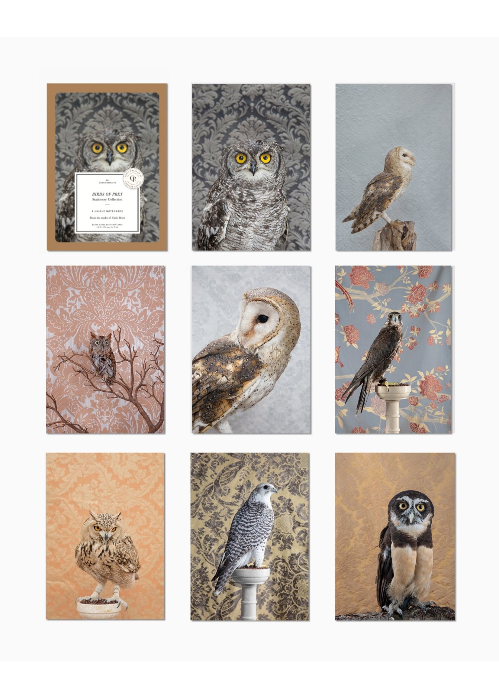 Claire Rosen Claire Rosen Notecards