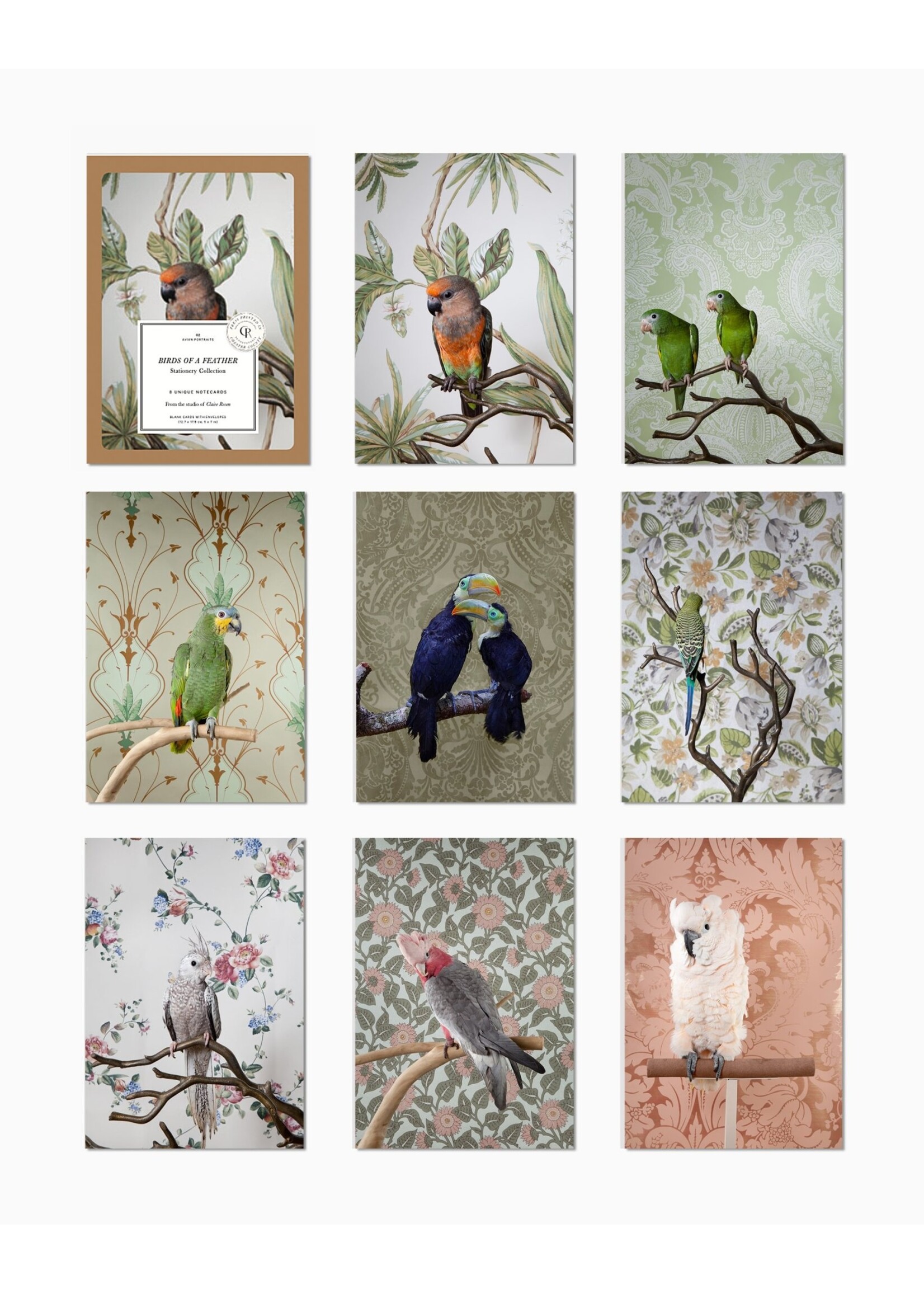 Claire Rosen Claire Rosen Notecards