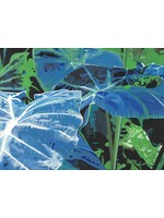 Abigail Chase Miller Feeling Blue and Green