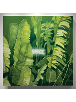 Russ Noto Untitled (Space)