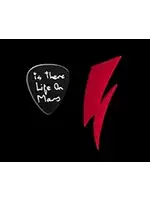 Kathleen Grebe Bold Std David Bowie Handwriting Earrings