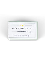 SCAD SCAD Grow Where You Go Bee Seeds
