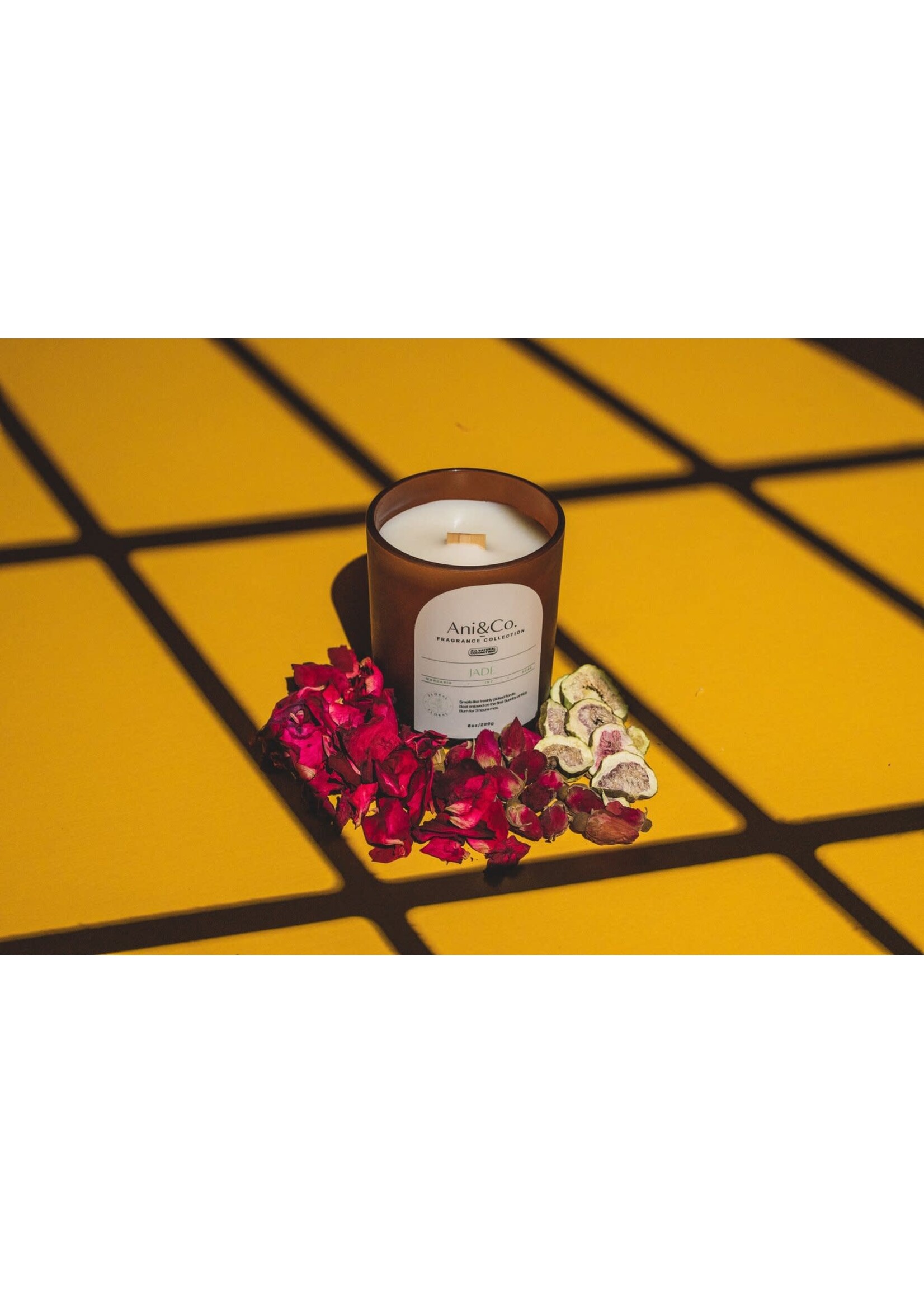 Brittany Bernier ANI + CO Candle